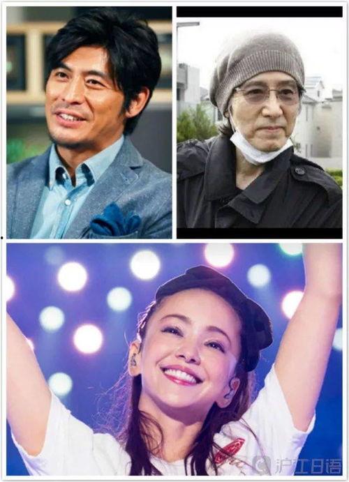 娱乐圈吃瓜事件团体,揭秘吃瓜团体背后的精彩故事